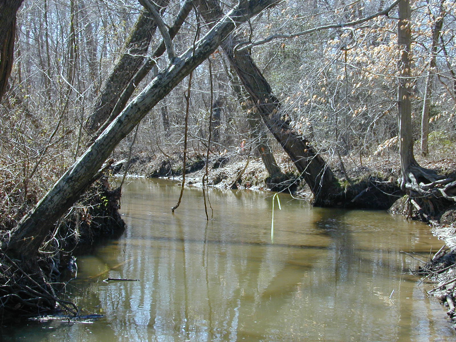 Field photo showing stream conditions at site NANJ-331-S-2001-79