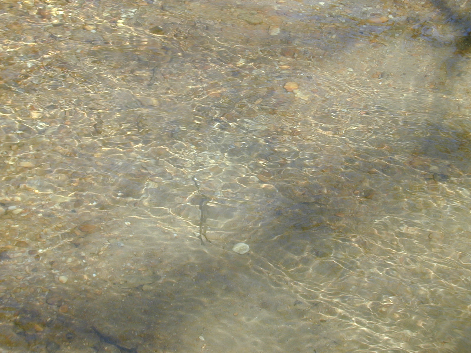 Field photo showing stream conditions at site NANJ-331-S-2001-80