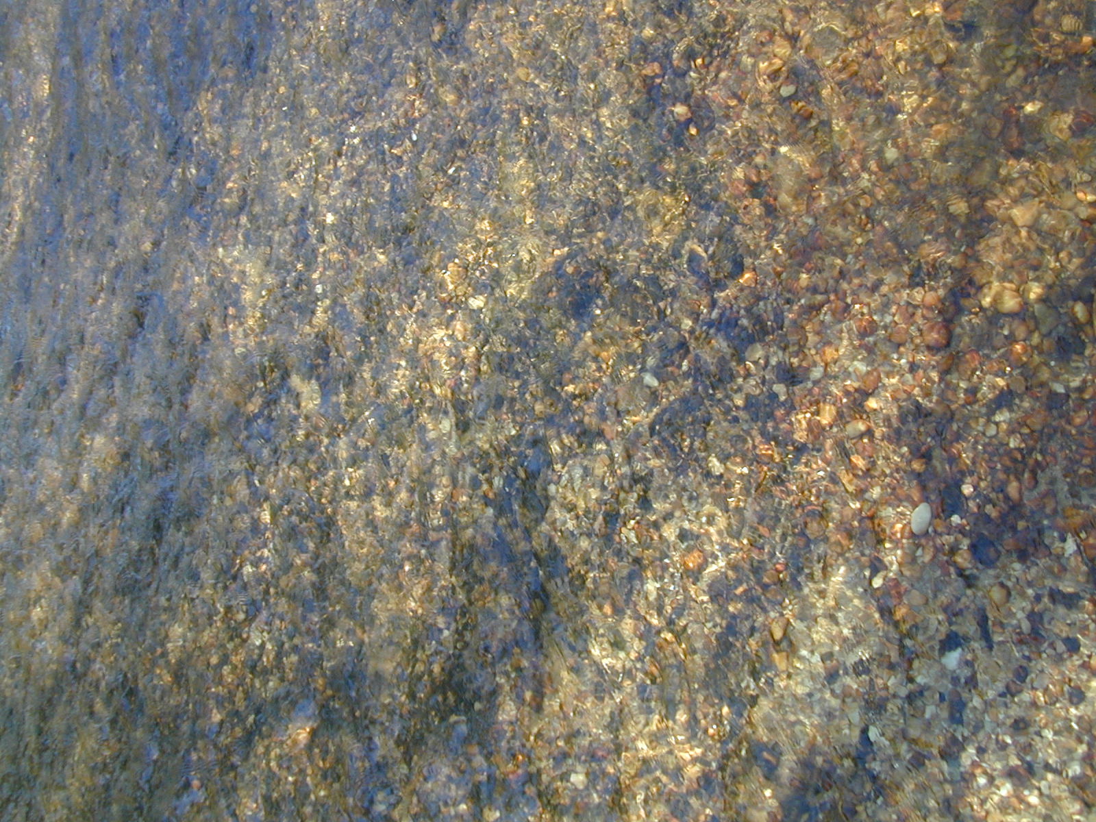 Field photo showing stream conditions at site NANJ-331-S-2002-411