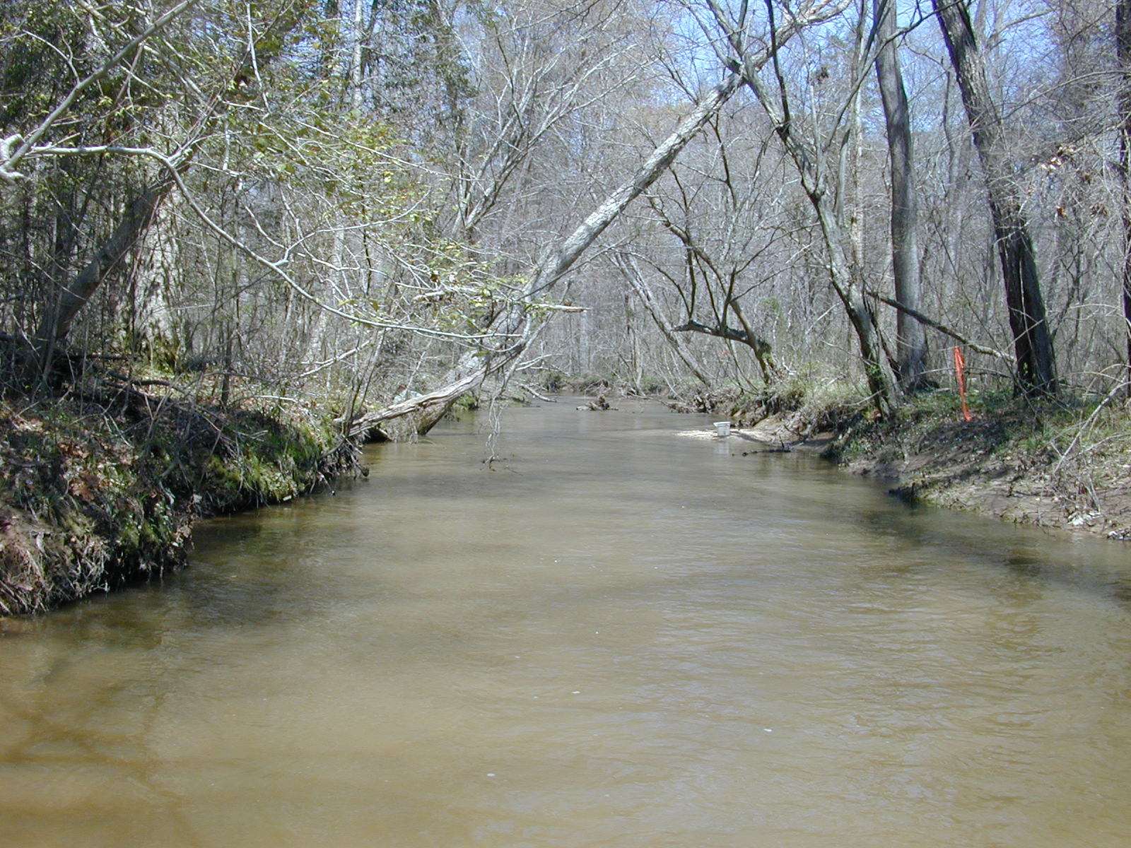 Field photo showing stream conditions at site NANJ-331-S-2004-1