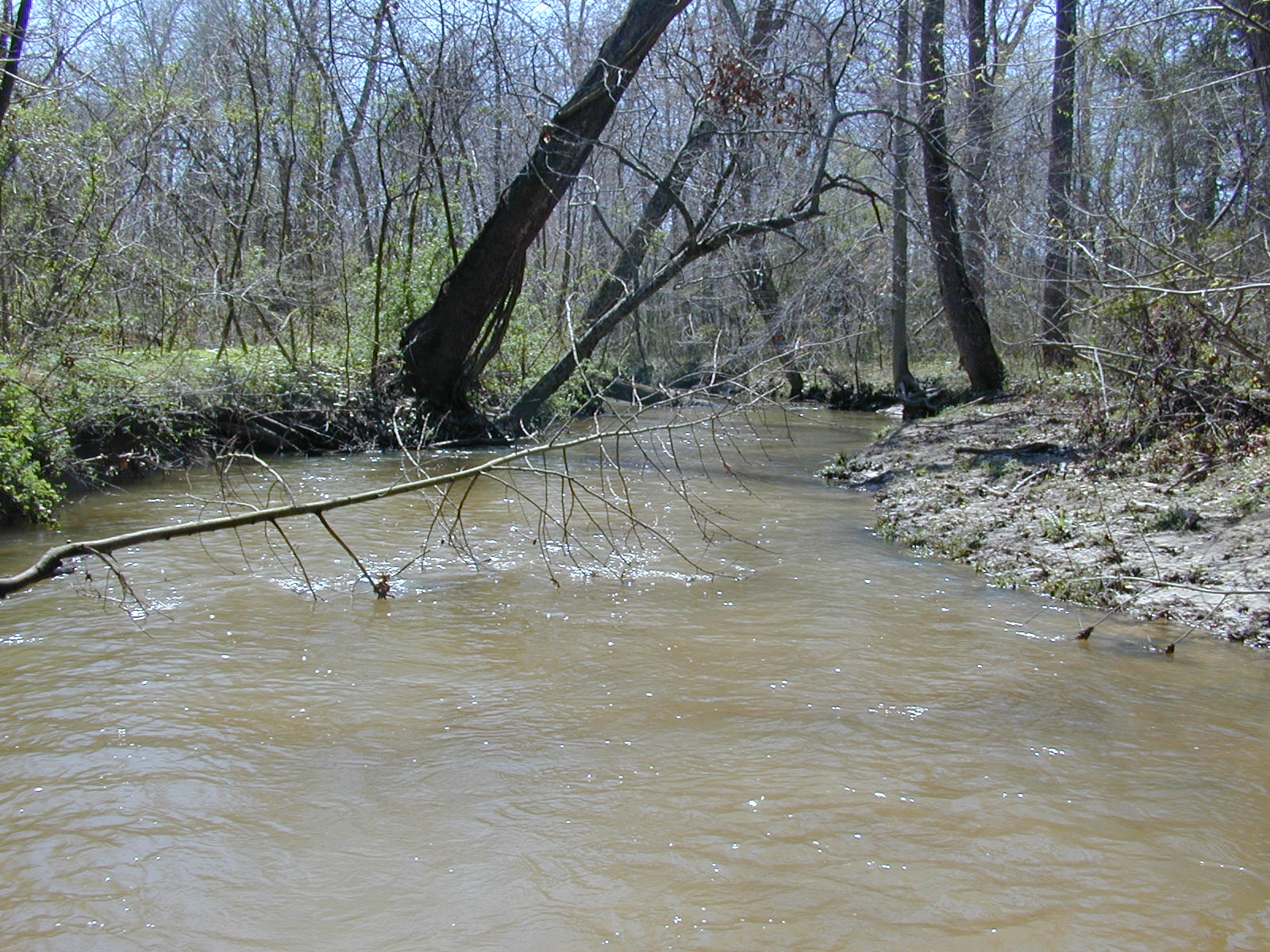 Field photo showing stream conditions at site NANJ-331-S-2004-2