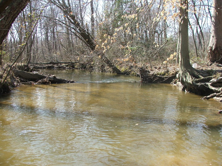 Field photo showing stream conditions at site NANJ-331-S-2008-2
