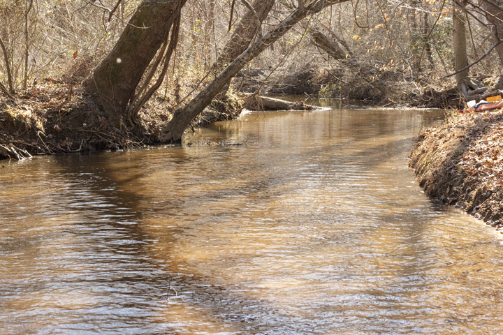 Field photo showing stream conditions at site NANJ-331-S-2009-1