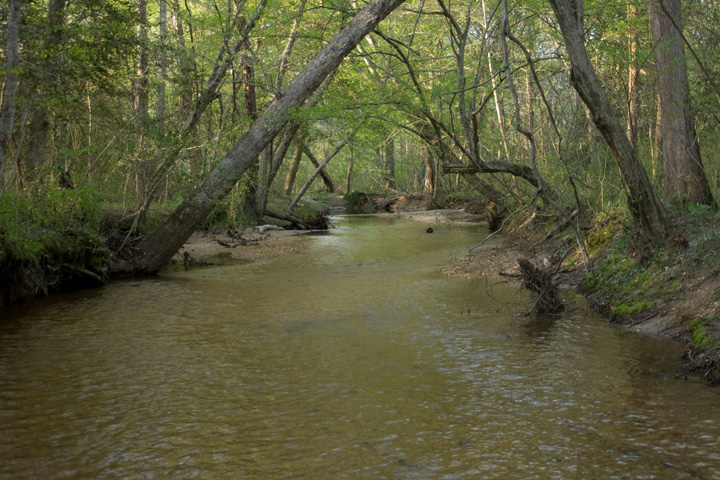 Field photo showing stream conditions at site NANJ-331-S-2010-1