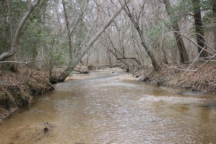 Field photo showing stream conditions at site NANJ-331-S-2011-1