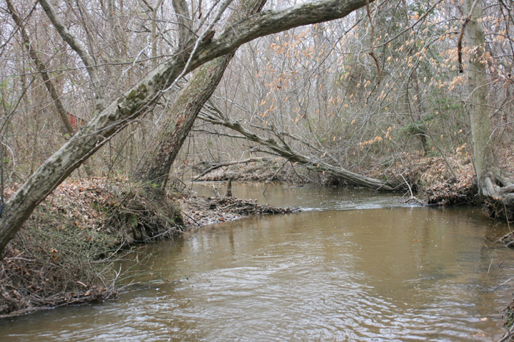 Field photo showing stream conditions at site NANJ-331-S-2011-2