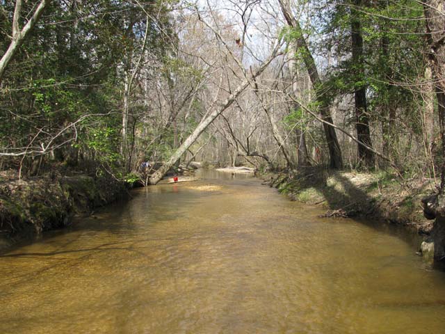 Field photo showing stream conditions at site NANJ-331-S-2012-1