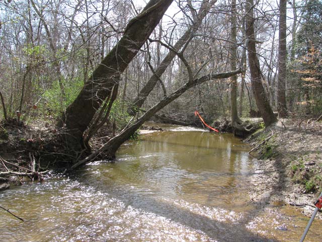 Field photo showing stream conditions at site NANJ-331-S-2012-2