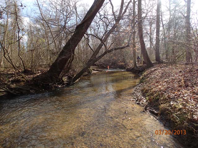 Field photo showing stream conditions at site NANJ-331-S-2013-MidpointPdownstream