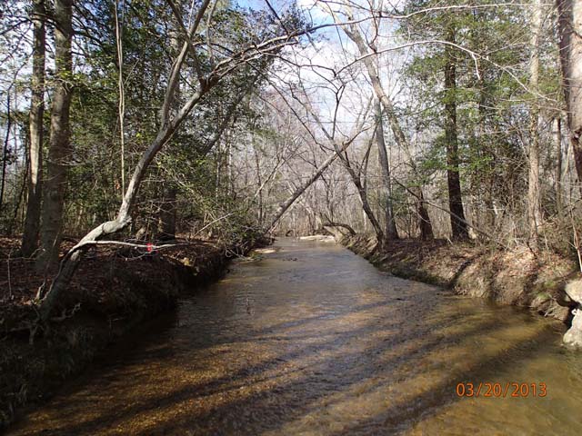 Field photo showing stream conditions at site NANJ-331-S-2013-MidpointPupstream