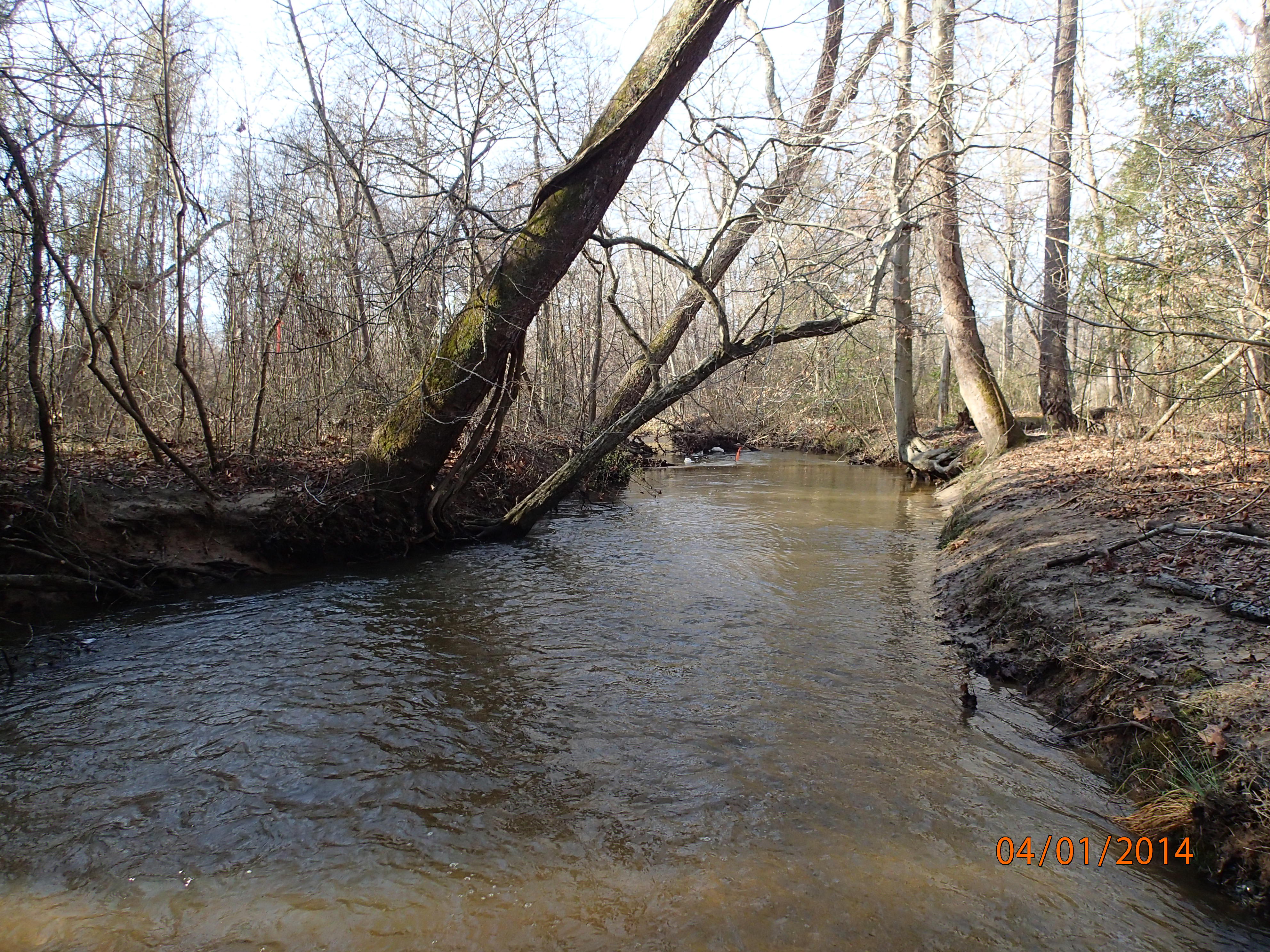 Field photo showing stream conditions at site NANJ-331-S-2014-MidpointDownstream