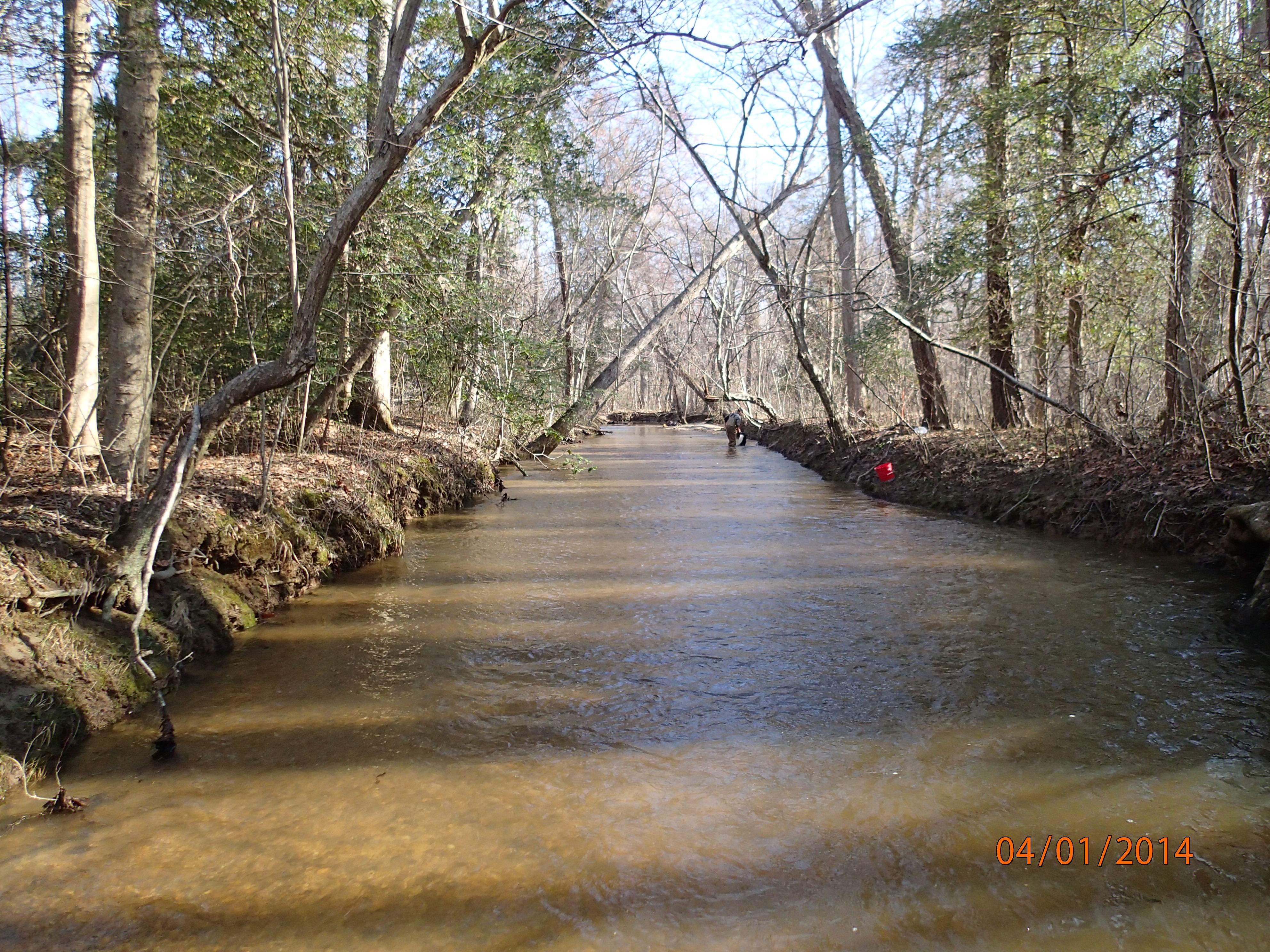 Field photo showing stream conditions at site NANJ-331-S-2014-MidpointUpstream