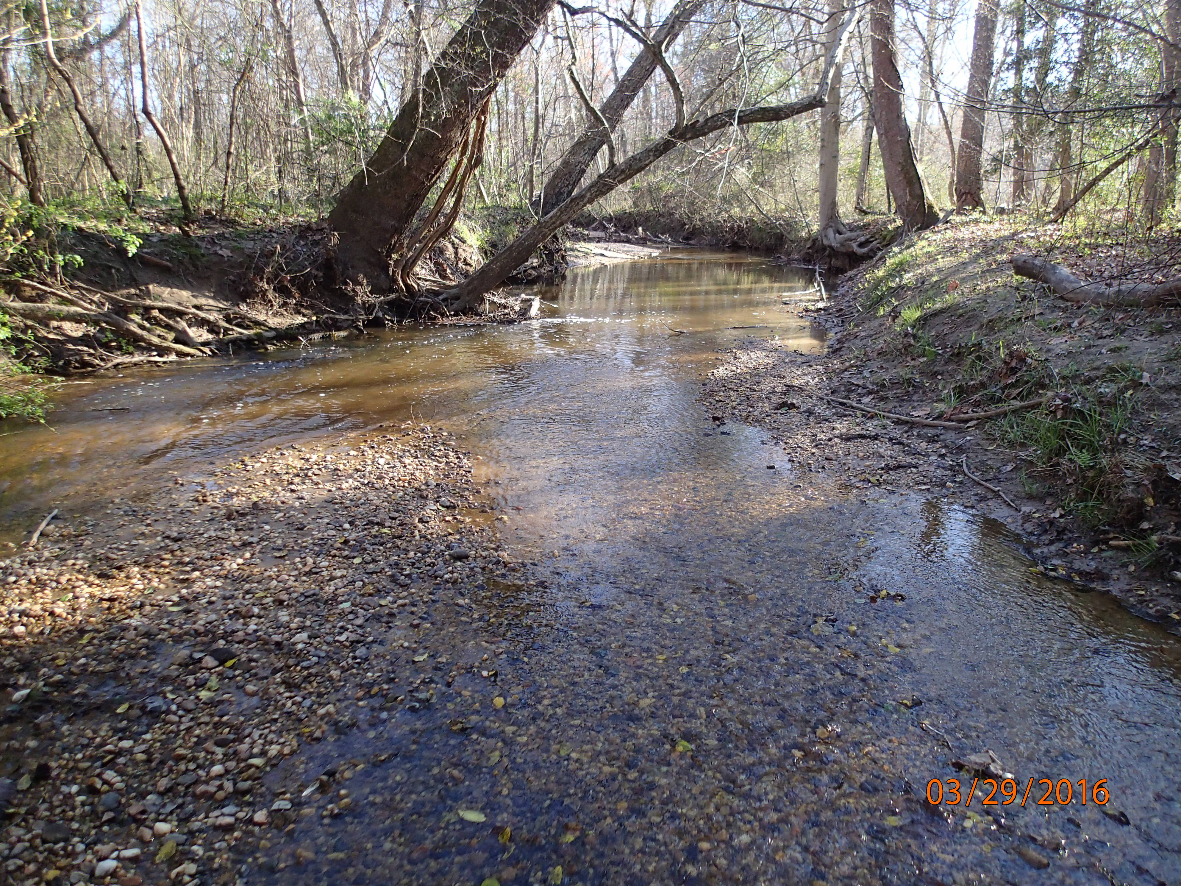 Field photo showing stream conditions at site NANJ-331-S-2016-MidpointPDownstream
