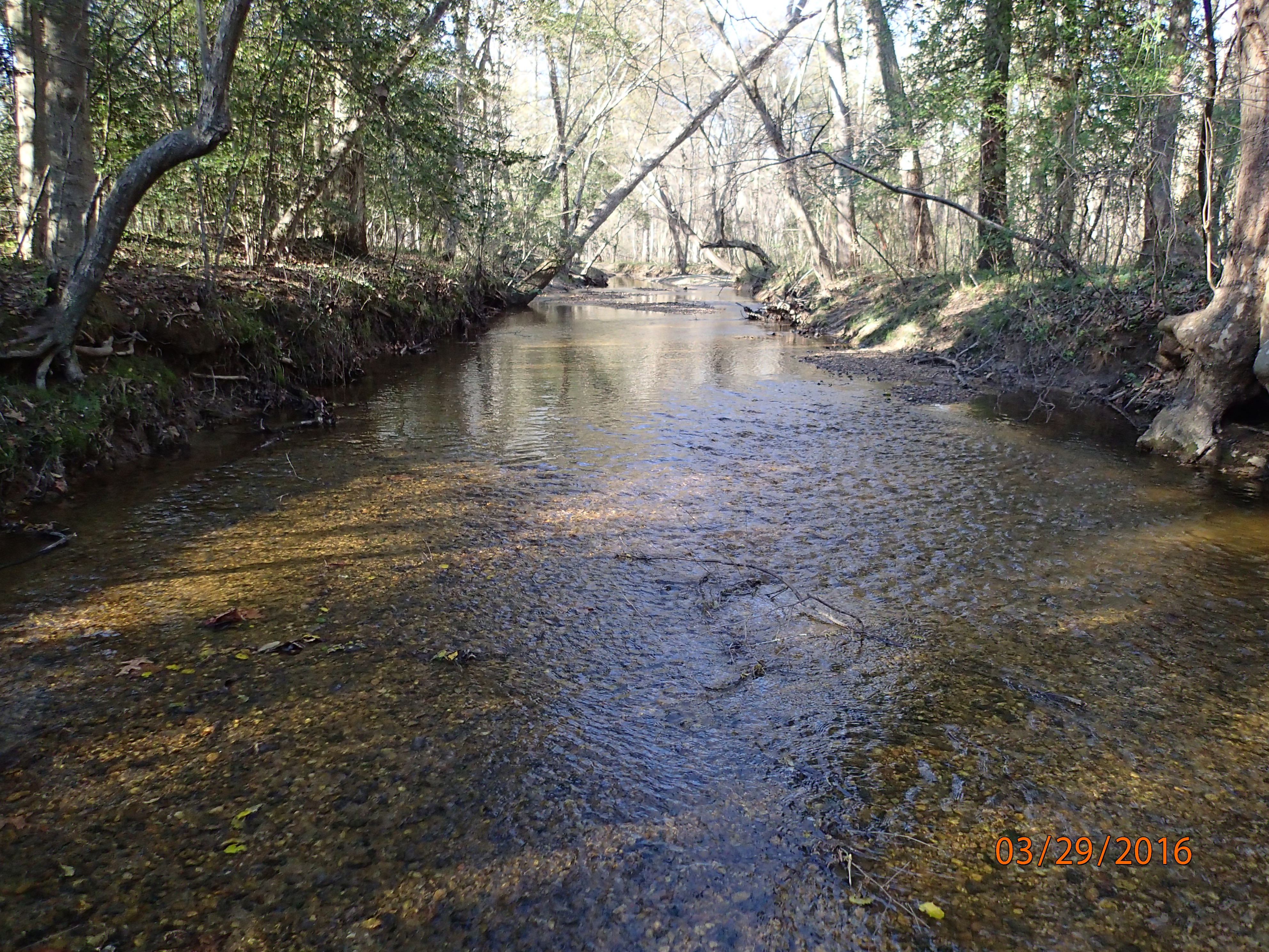 Field photo showing stream conditions at site NANJ-331-S-2016-MidpointPUpstream
