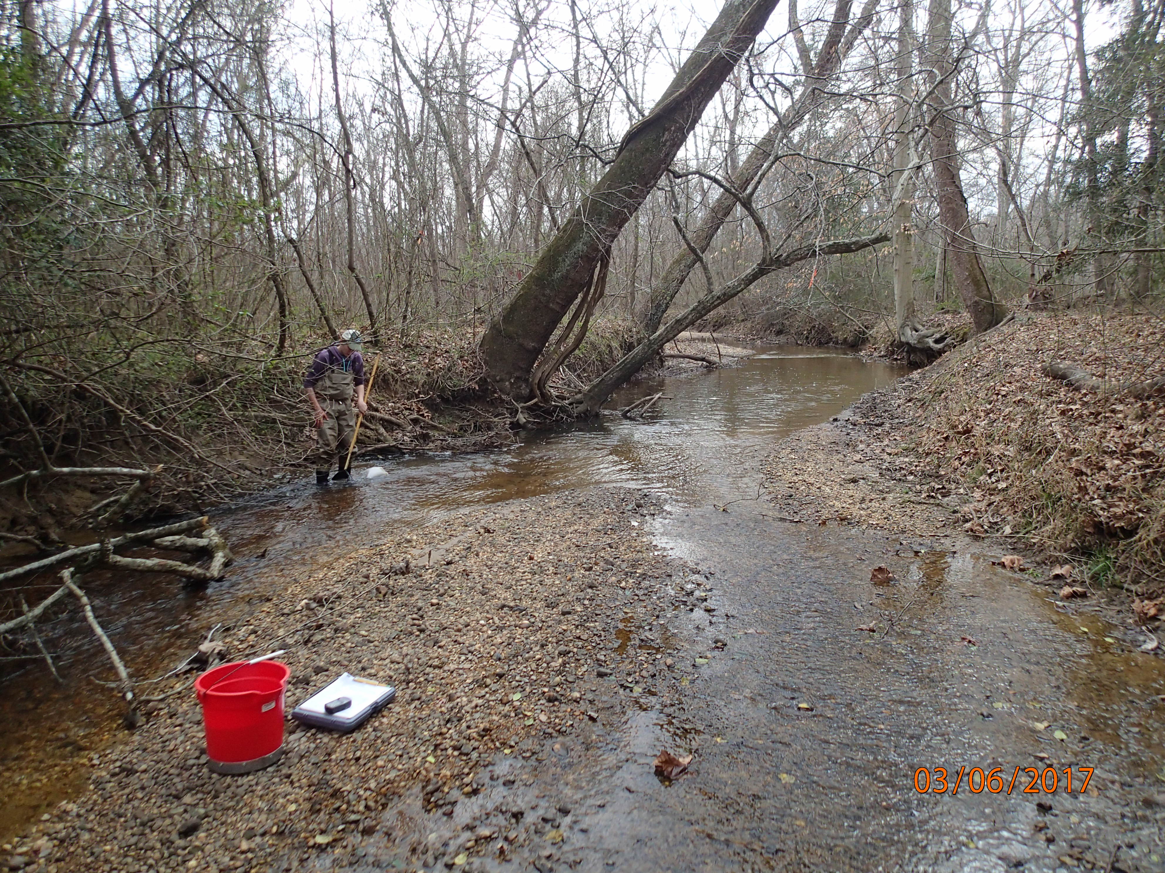 Field photo showing stream conditions at site NANJ-331-S-2017-MidpointPDownstream