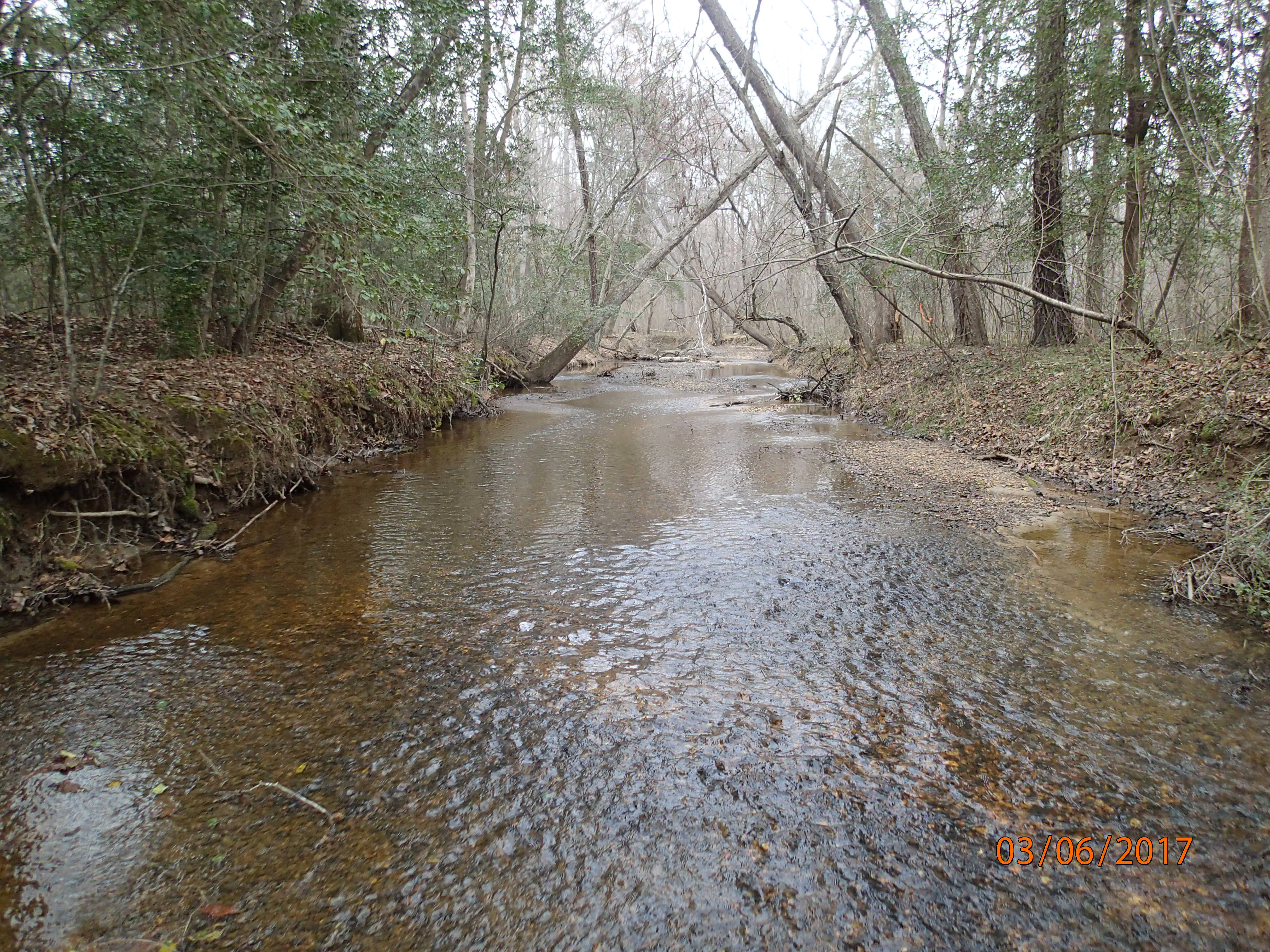 Field photo showing stream conditions at site NANJ-331-S-2017-MidpointPUpstream