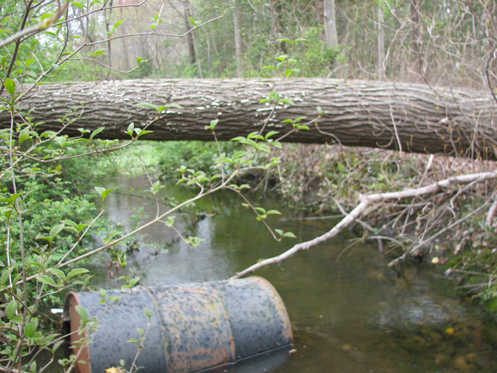 Field photo showing stream conditions at site NANT-103-R-2007-2