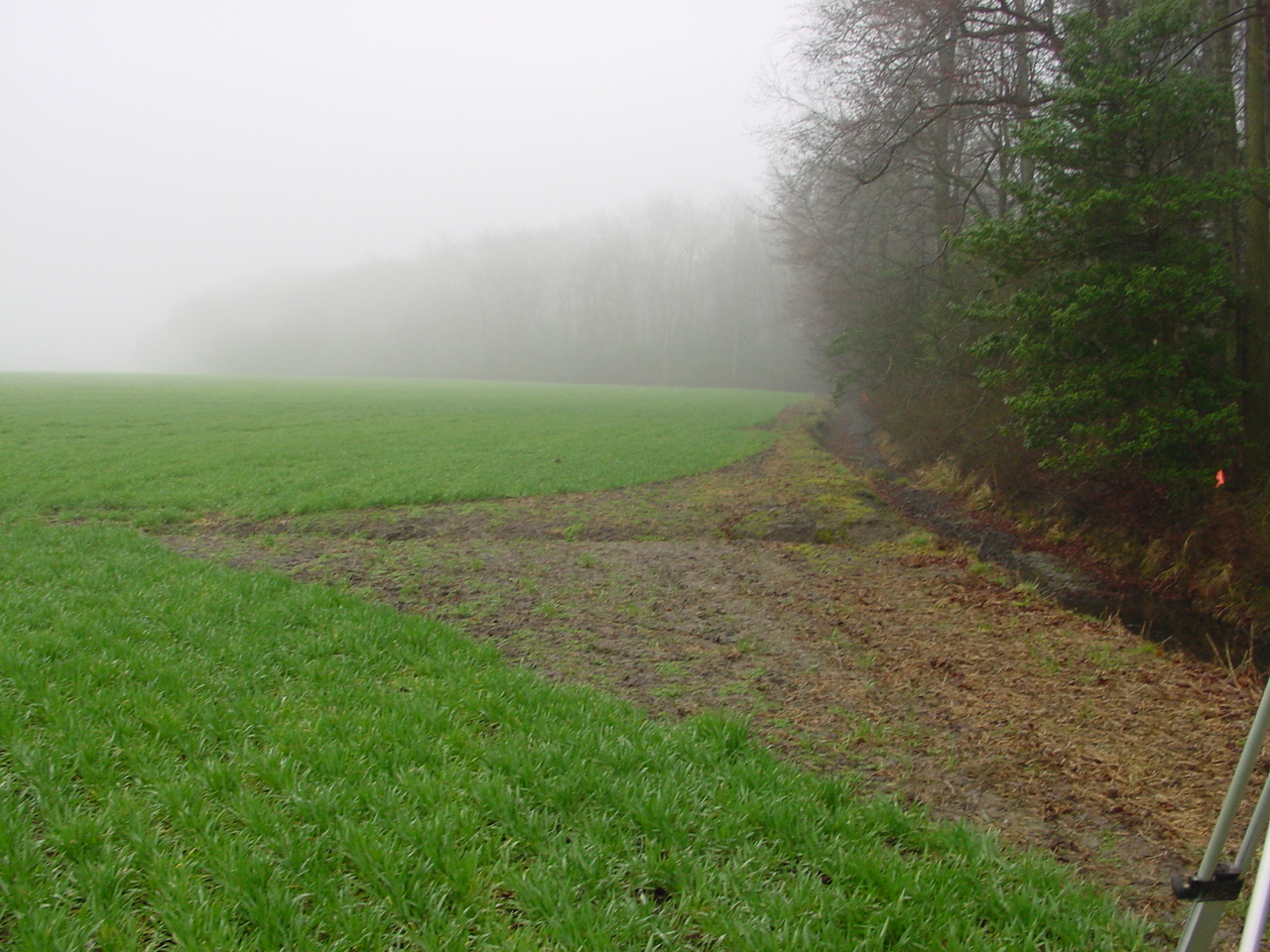 Field photo showing stream conditions at site NANT-104-R-2002-1