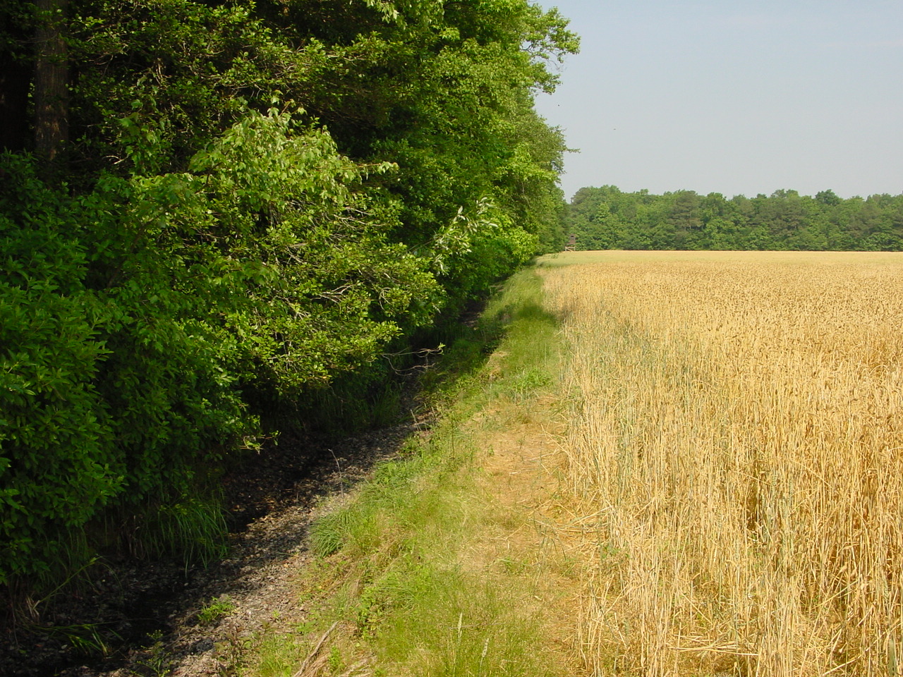 Field photo showing stream conditions at site NANT-104-R-2002-4