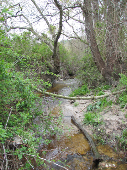 Field photo showing stream conditions at site NANT-104-R-2007-1