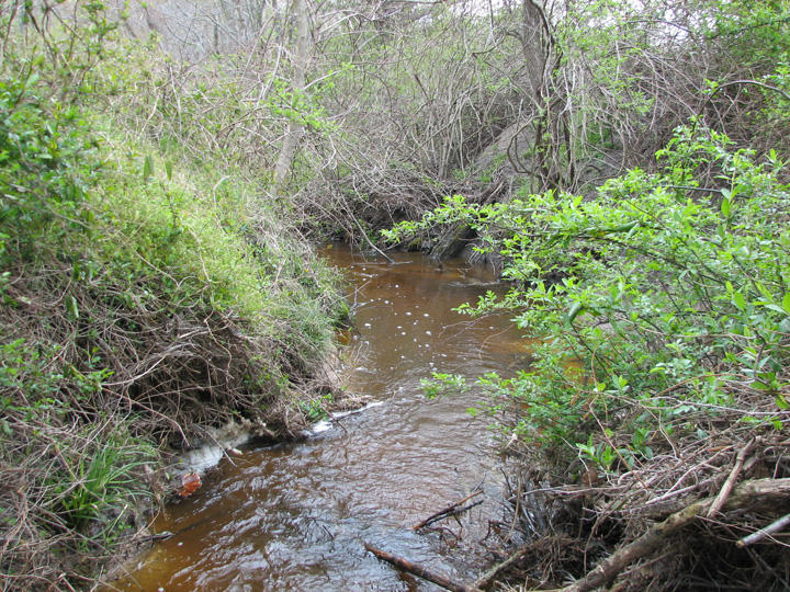 Field photo showing stream conditions at site NANT-104-R-2007-2