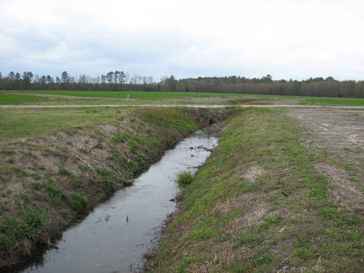 Field photo showing stream conditions at site NANT-106-R-2007-1