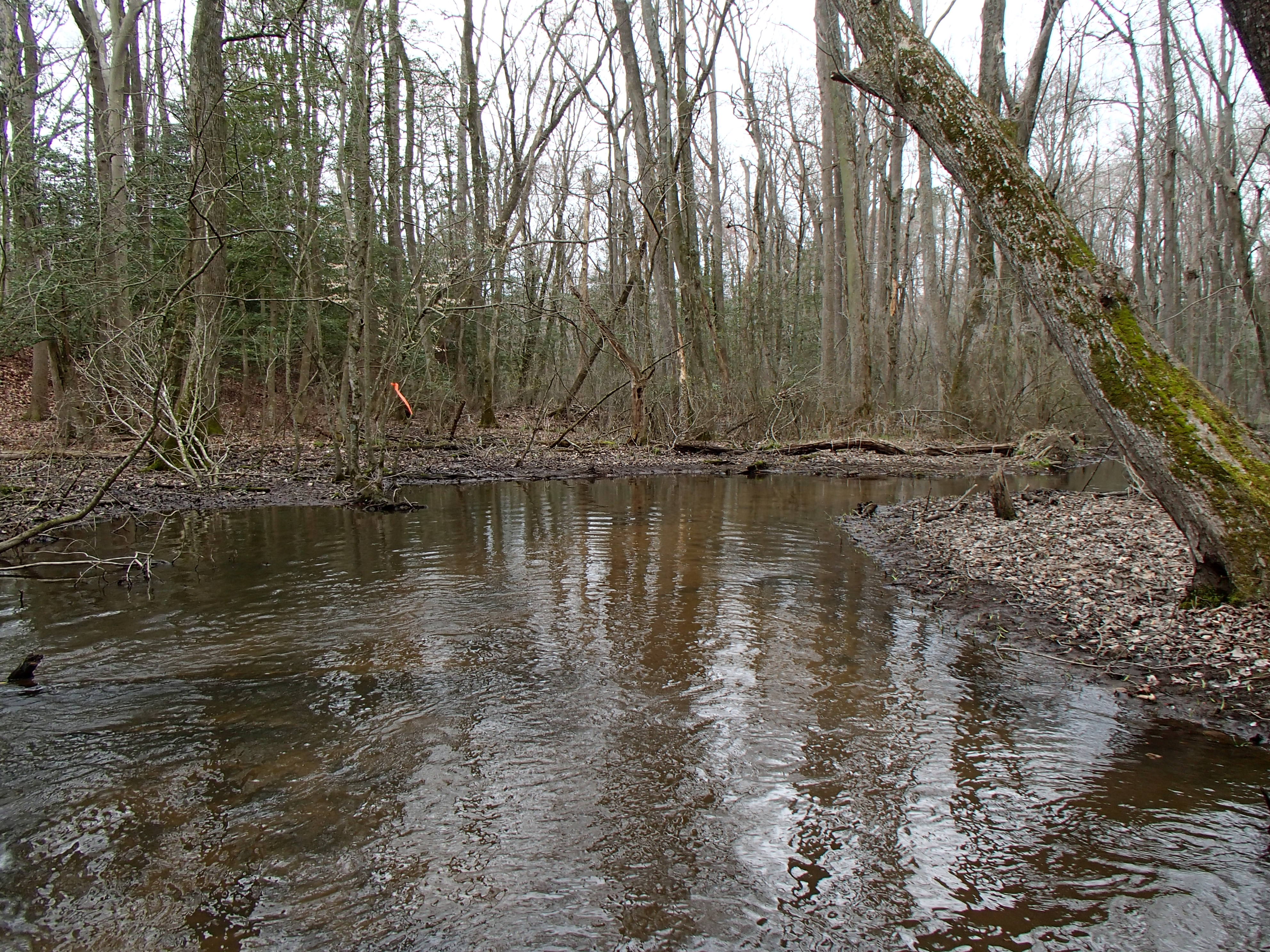 Field photo showing stream conditions at site NANT-107-R-2015_Midpoint-looking-downstream
