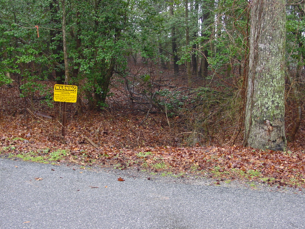 Field photo showing stream conditions at site NANT-108-R-2002-1