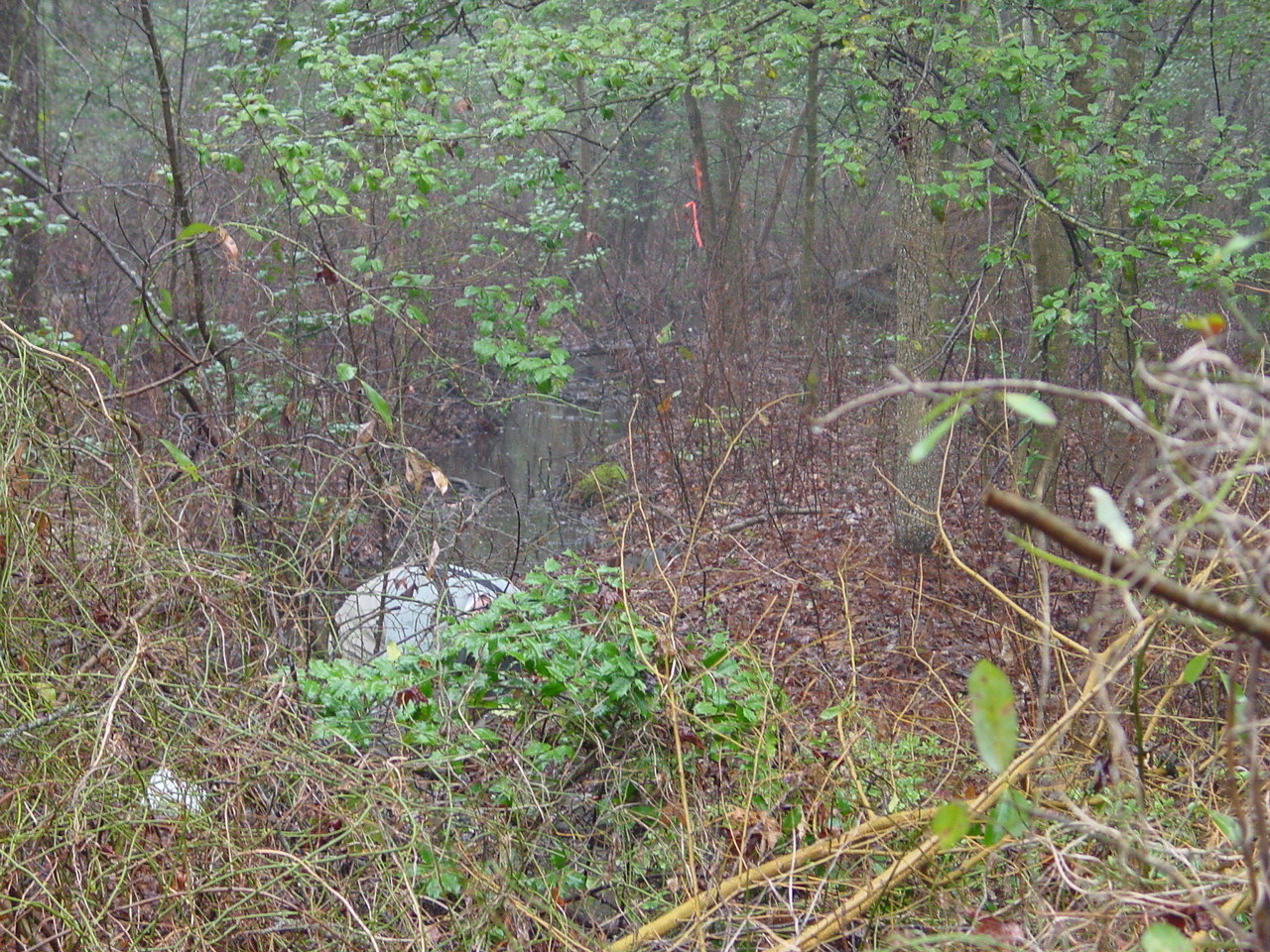 Field photo showing stream conditions at site NANT-108-R-2002-2