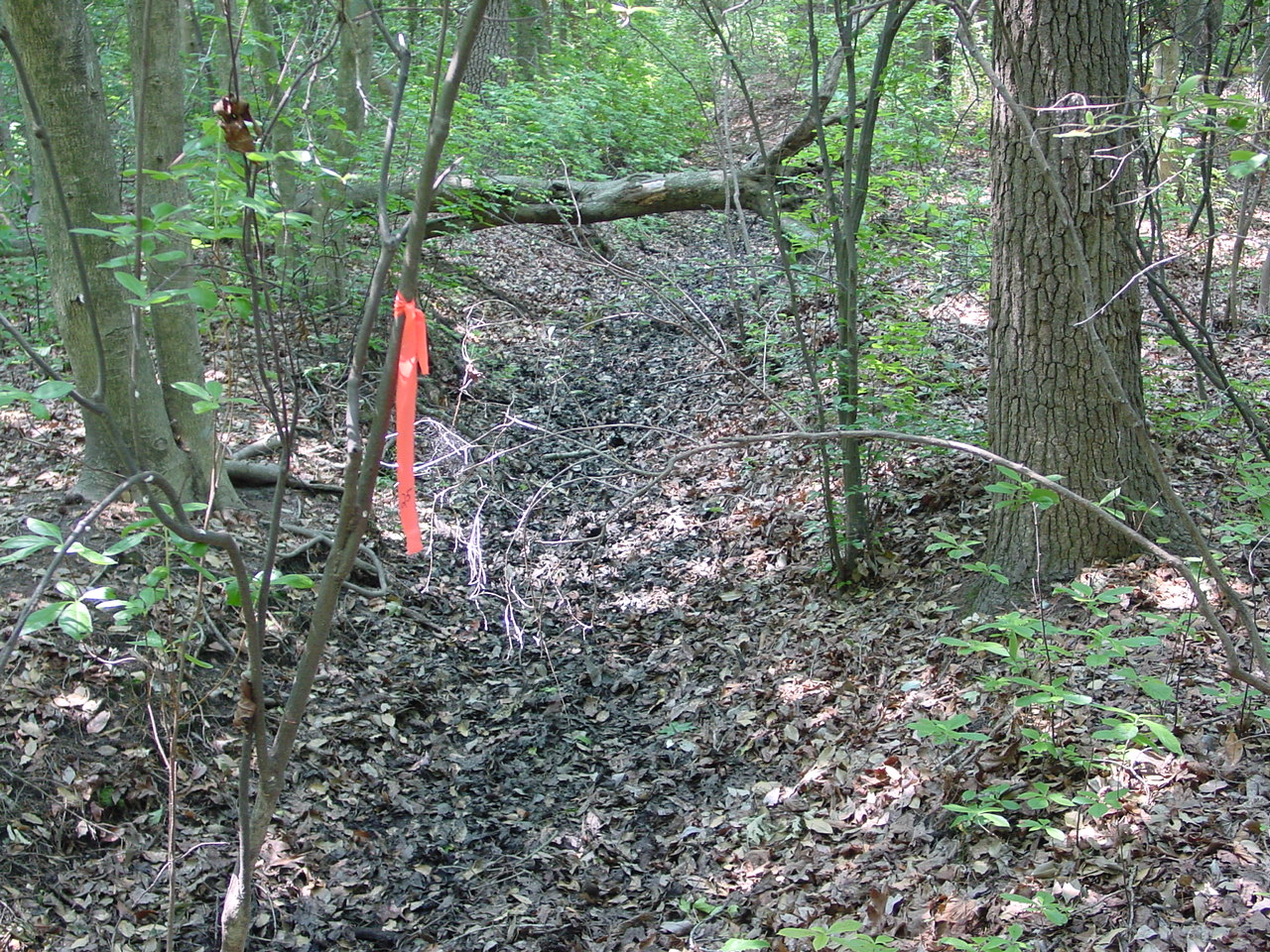 Field photo showing stream conditions at site NANT-108-R-2002-3