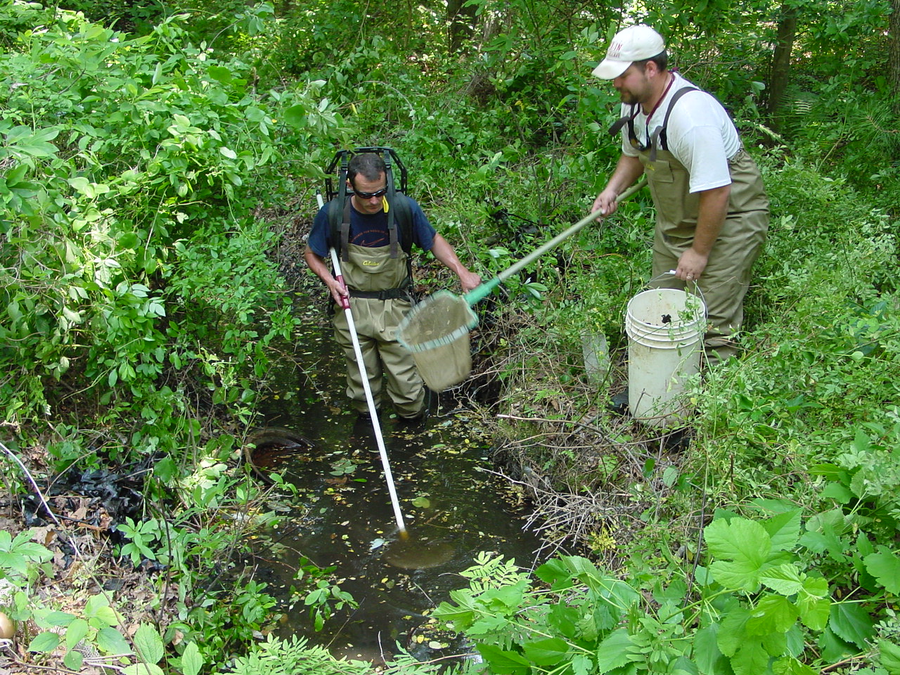 Field photo showing stream conditions at site NANT-108-R-2002-4