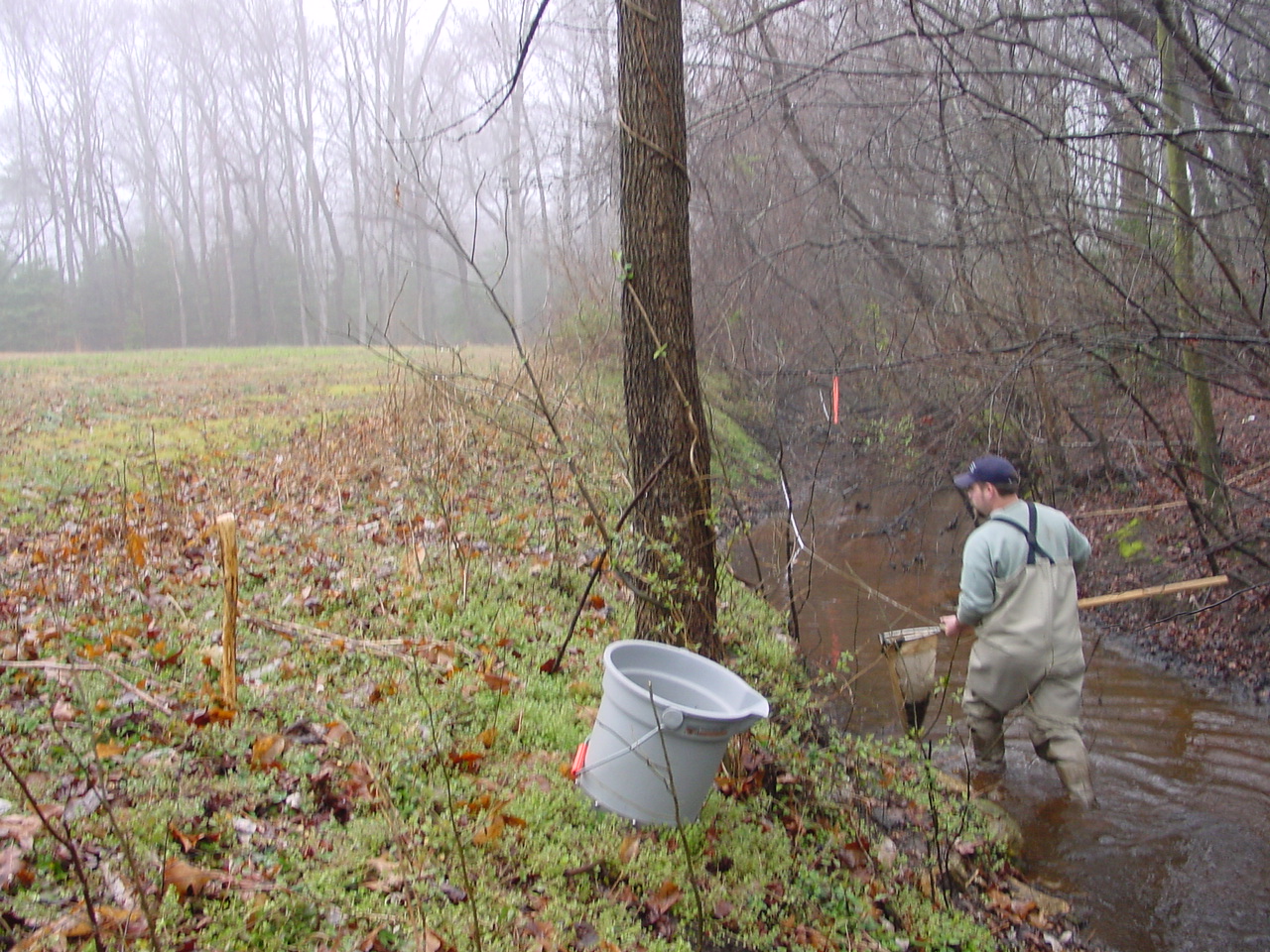 Field photo showing stream conditions at site NANT-109-R-2002-1