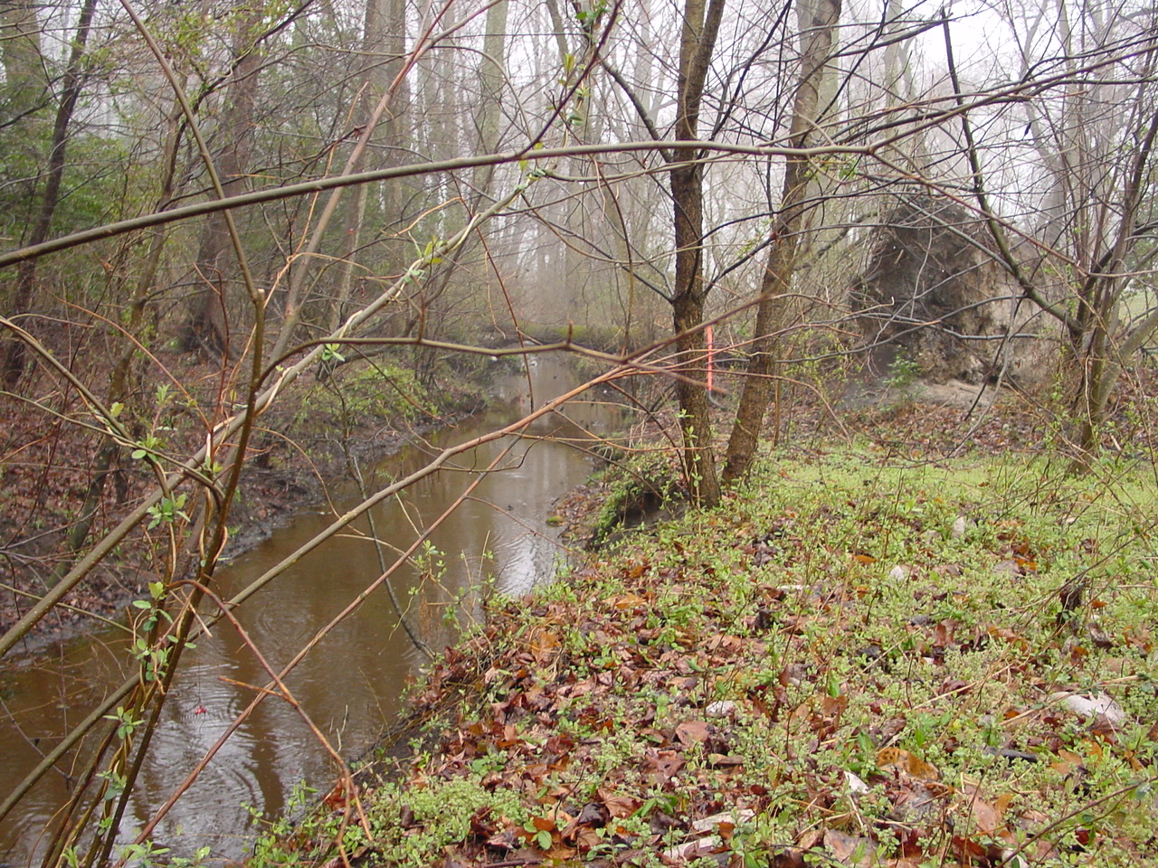Field photo showing stream conditions at site NANT-109-R-2002-2