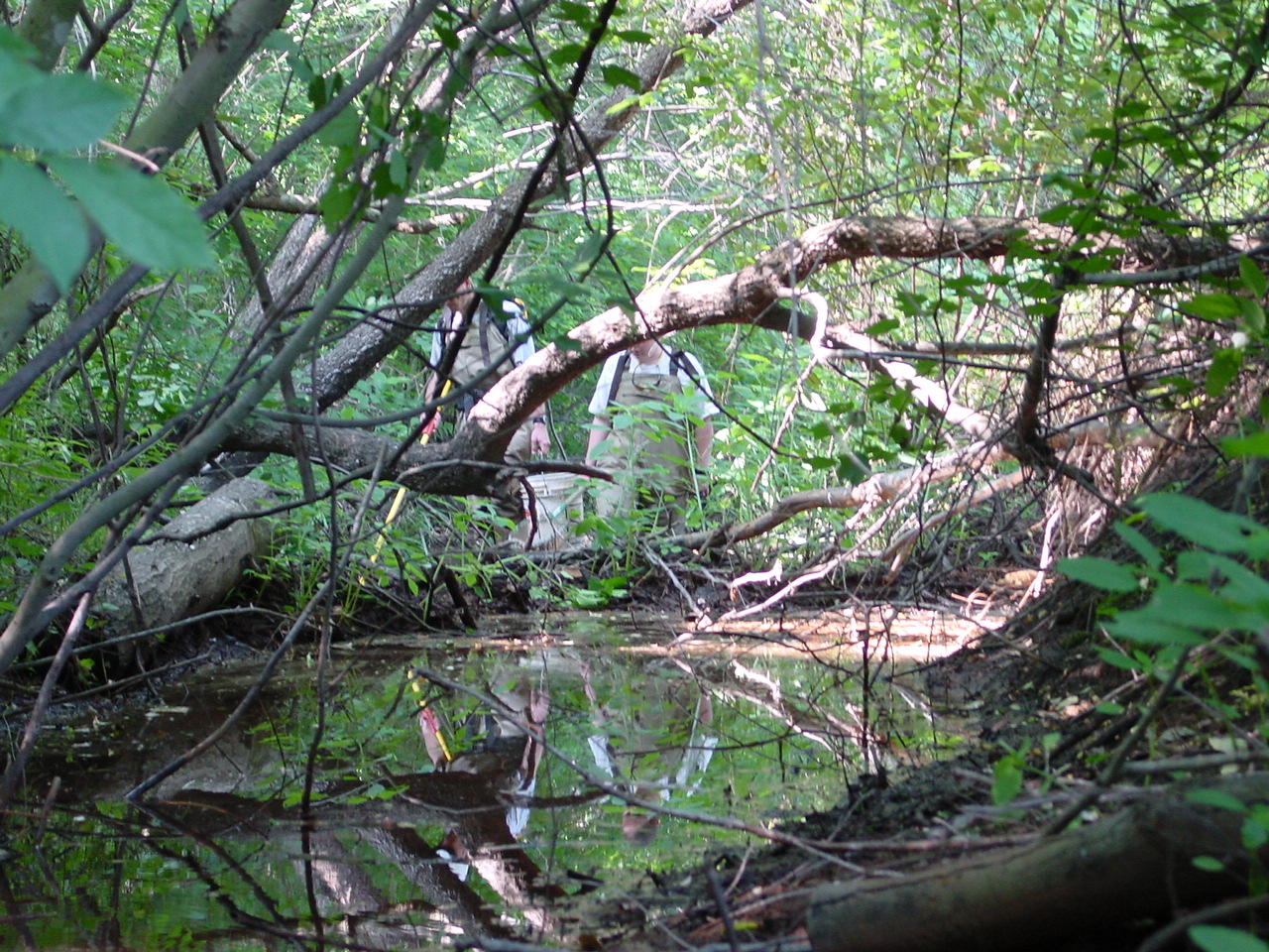 Field photo showing stream conditions at site NANT-109-R-2002-4