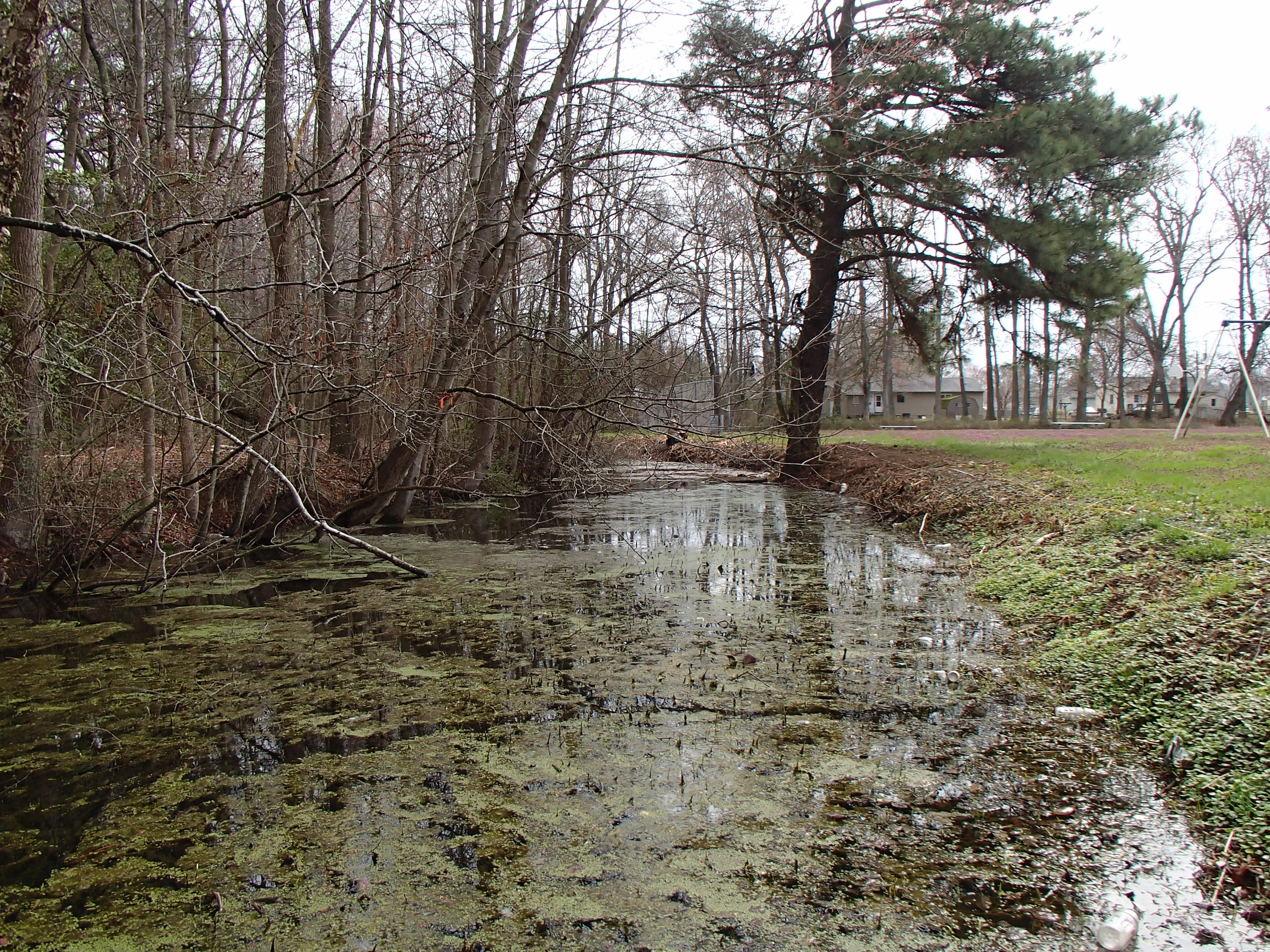 Field photo showing stream conditions at site NANT-110-R-2015_Midpoint-upstream