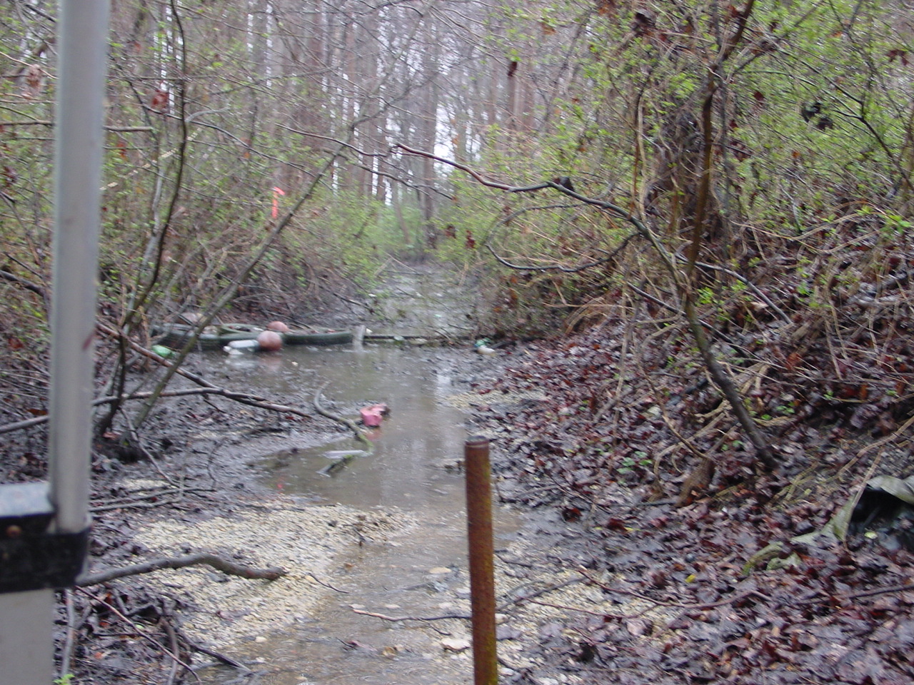 Field photo showing stream conditions at site NANT-111-R-2002-1