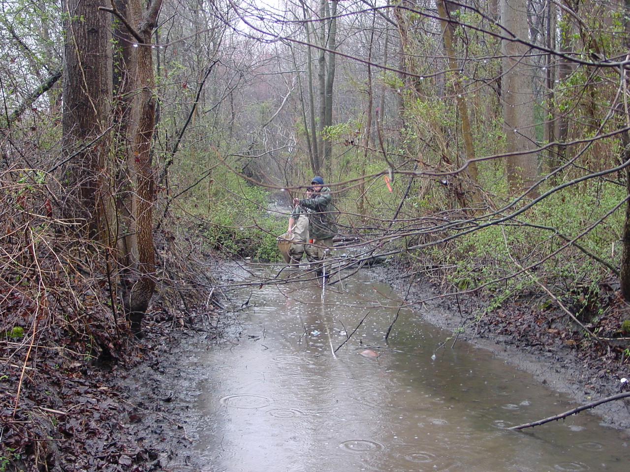 Field photo showing stream conditions at site NANT-111-R-2002-2