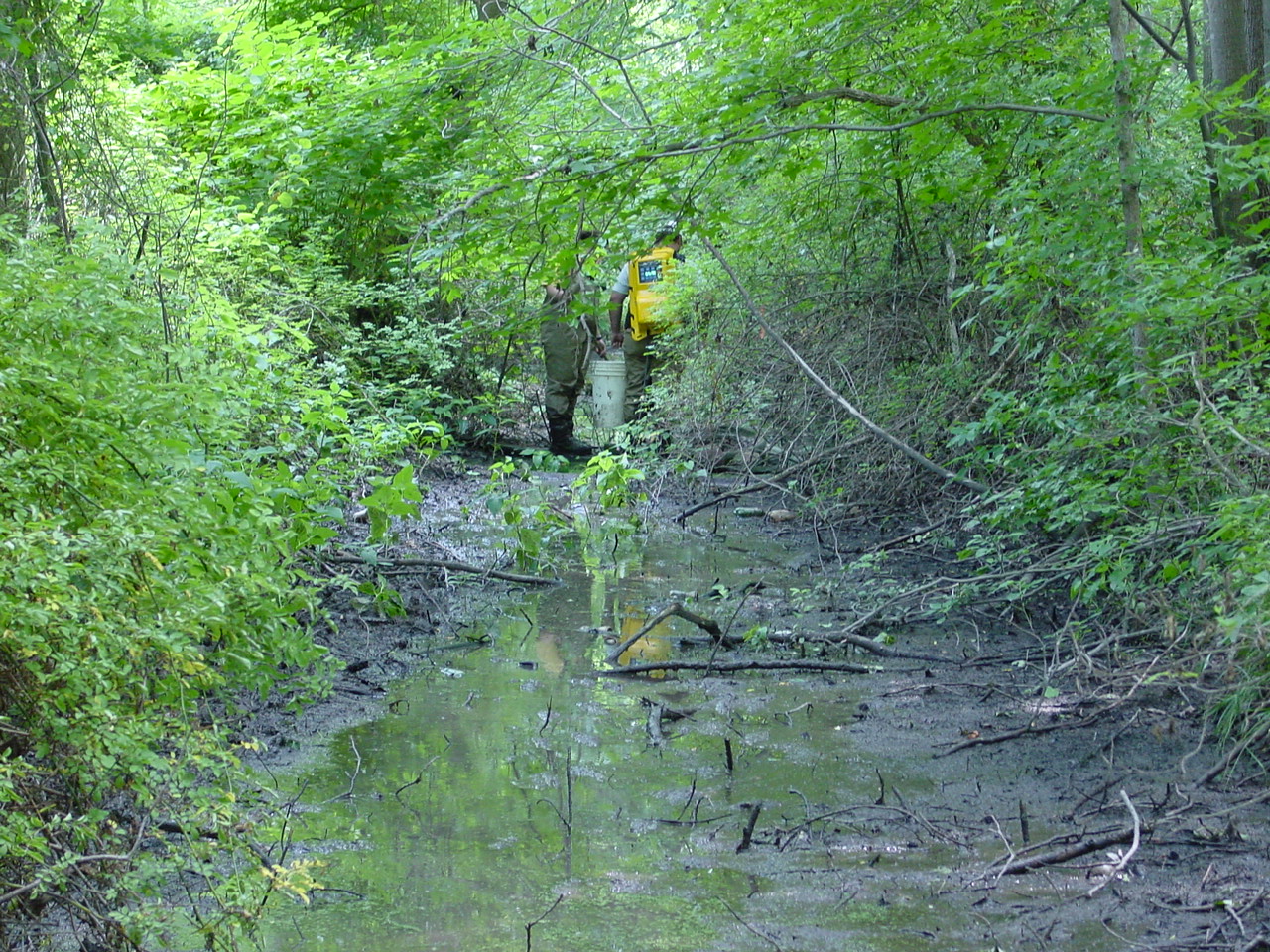 Field photo showing stream conditions at site NANT-111-R-2002-3