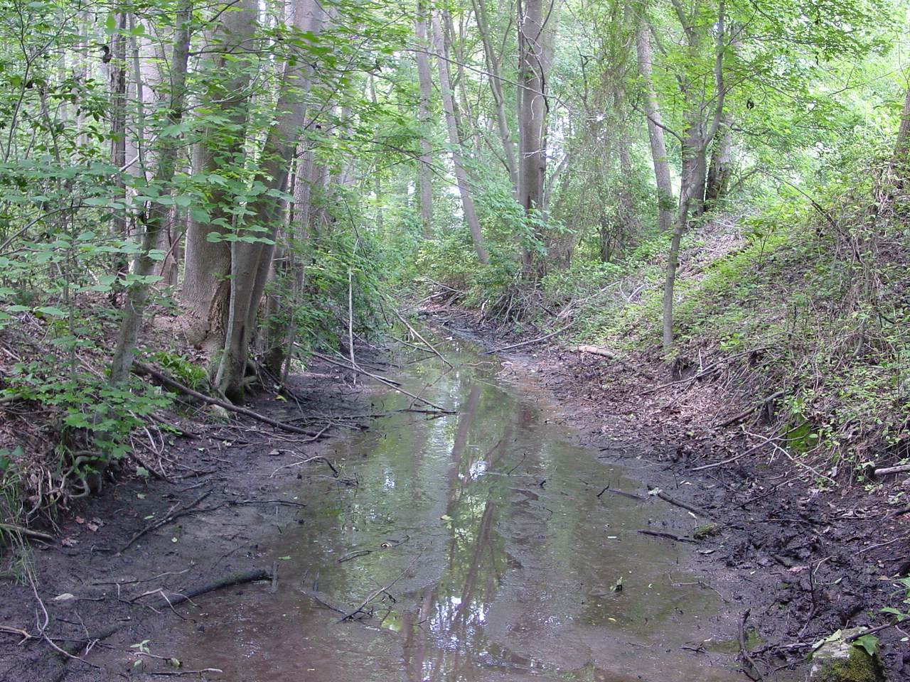 Field photo showing stream conditions at site NANT-111-R-2002-4