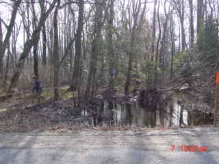 Field photo showing stream conditions at site NANT-113-R-2001-1