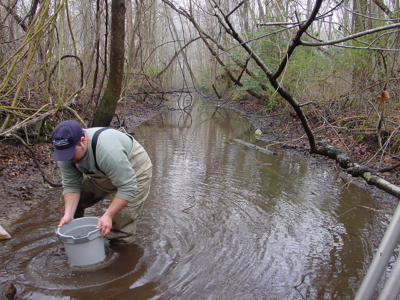 Field photo showing stream conditions at site NANT-113-R-2002-1