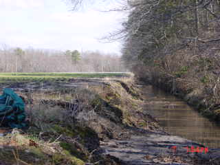 Field photo showing stream conditions at site NANT-116-R-2001-2