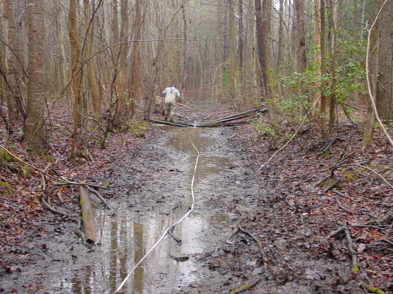 Field photo showing stream conditions at site NANT-116-R-2002-1