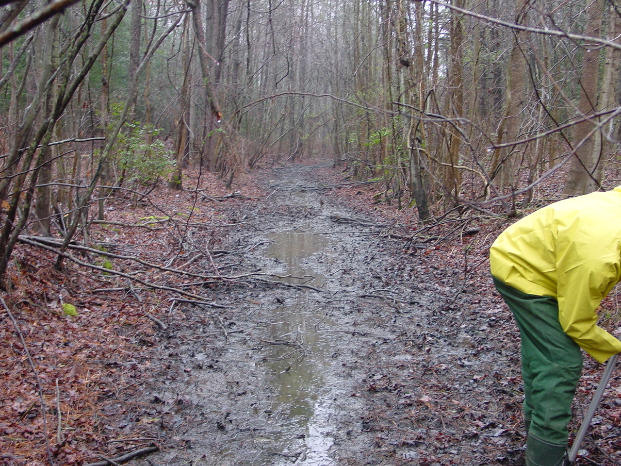 Field photo showing stream conditions at site NANT-116-R-2002-2