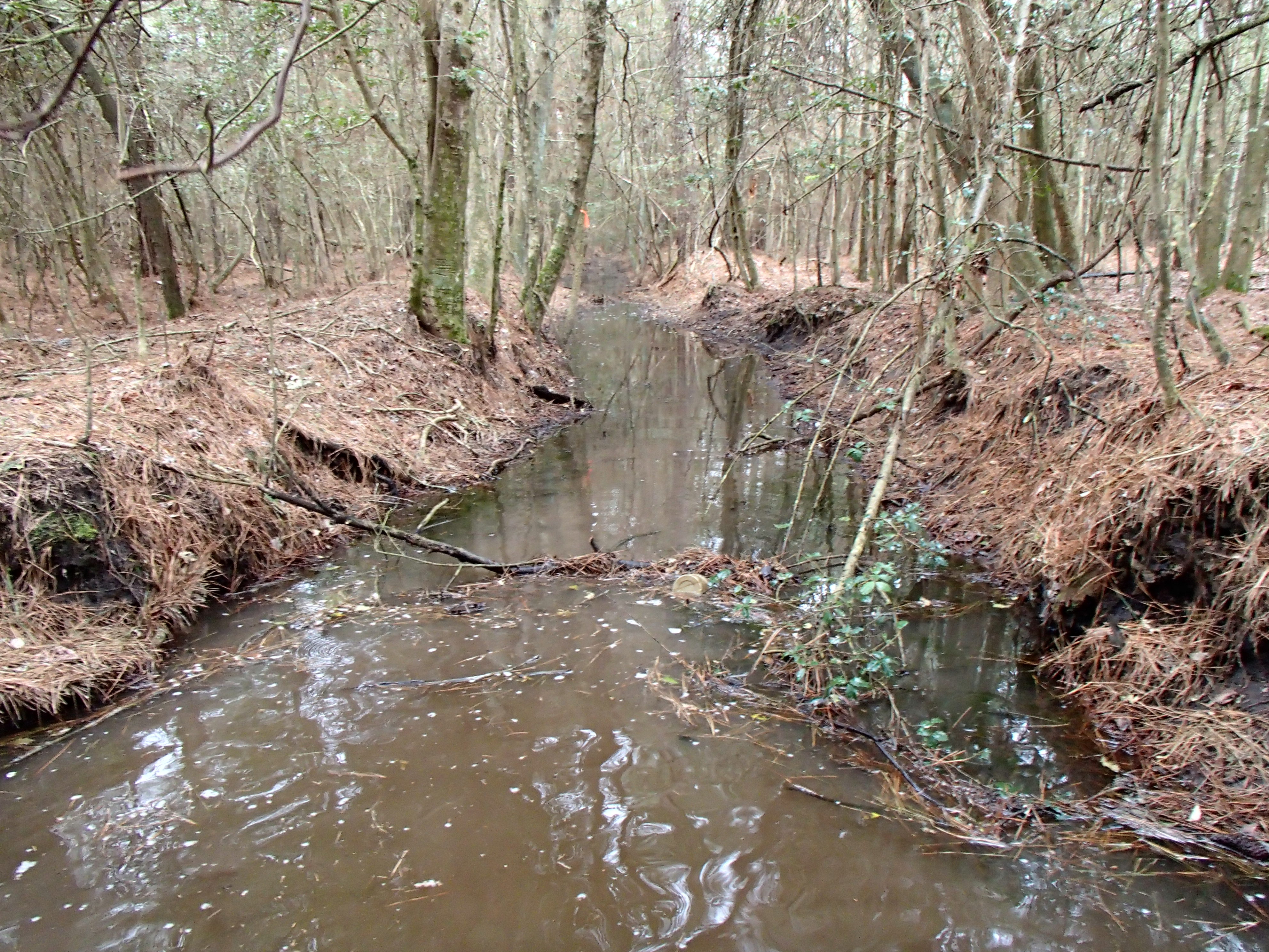 Field photo showing stream conditions at site NANT-119-R-2015_Midpoint-looking-downstream