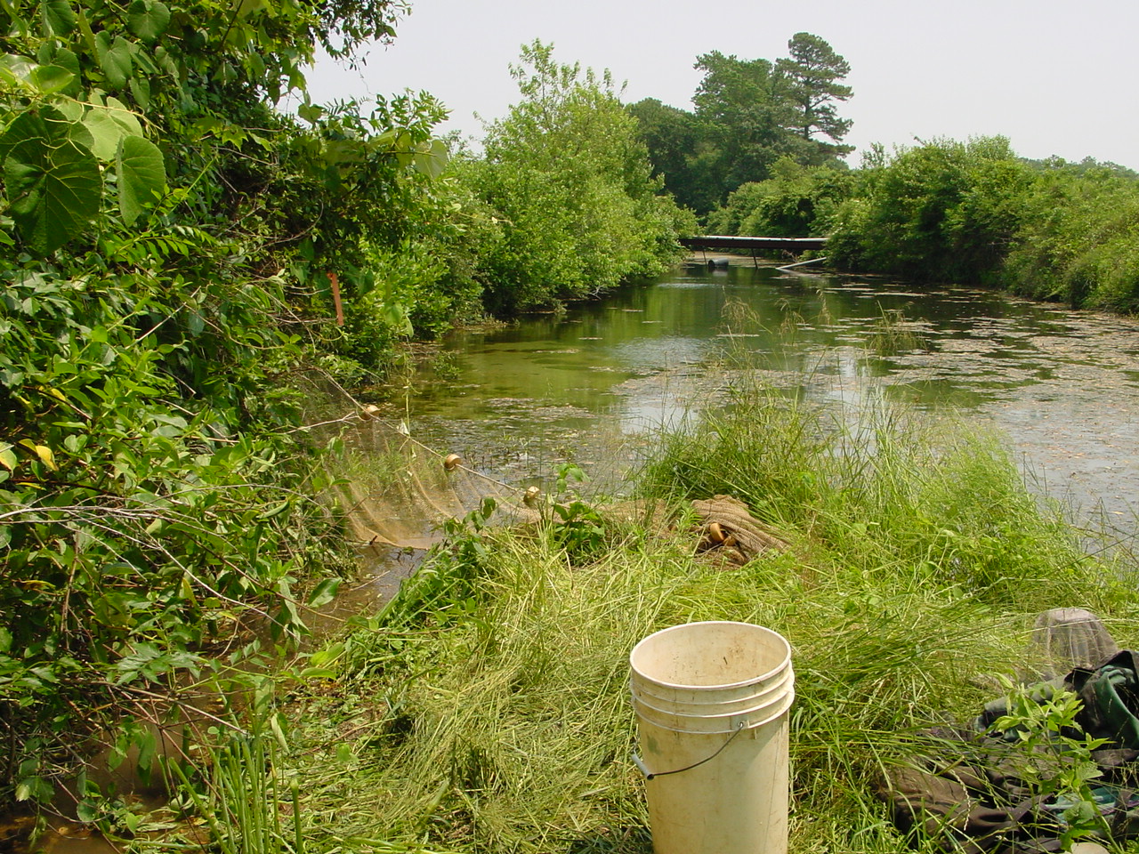 Field photo showing stream conditions at site NANT-123-R-2002-2