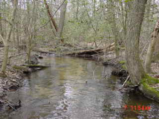 Field photo showing stream conditions at site NANT-203-R-2001-1