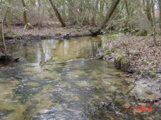 Field photo showing stream conditions at site NANT-203-R-2001-2