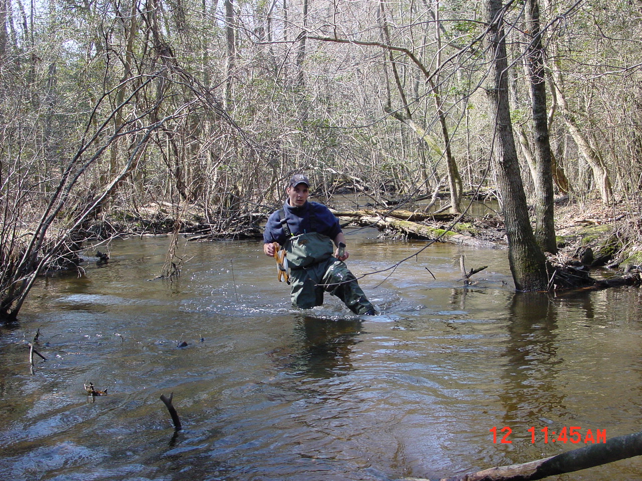 Field photo showing stream conditions at site NANT-311-R-2001-1