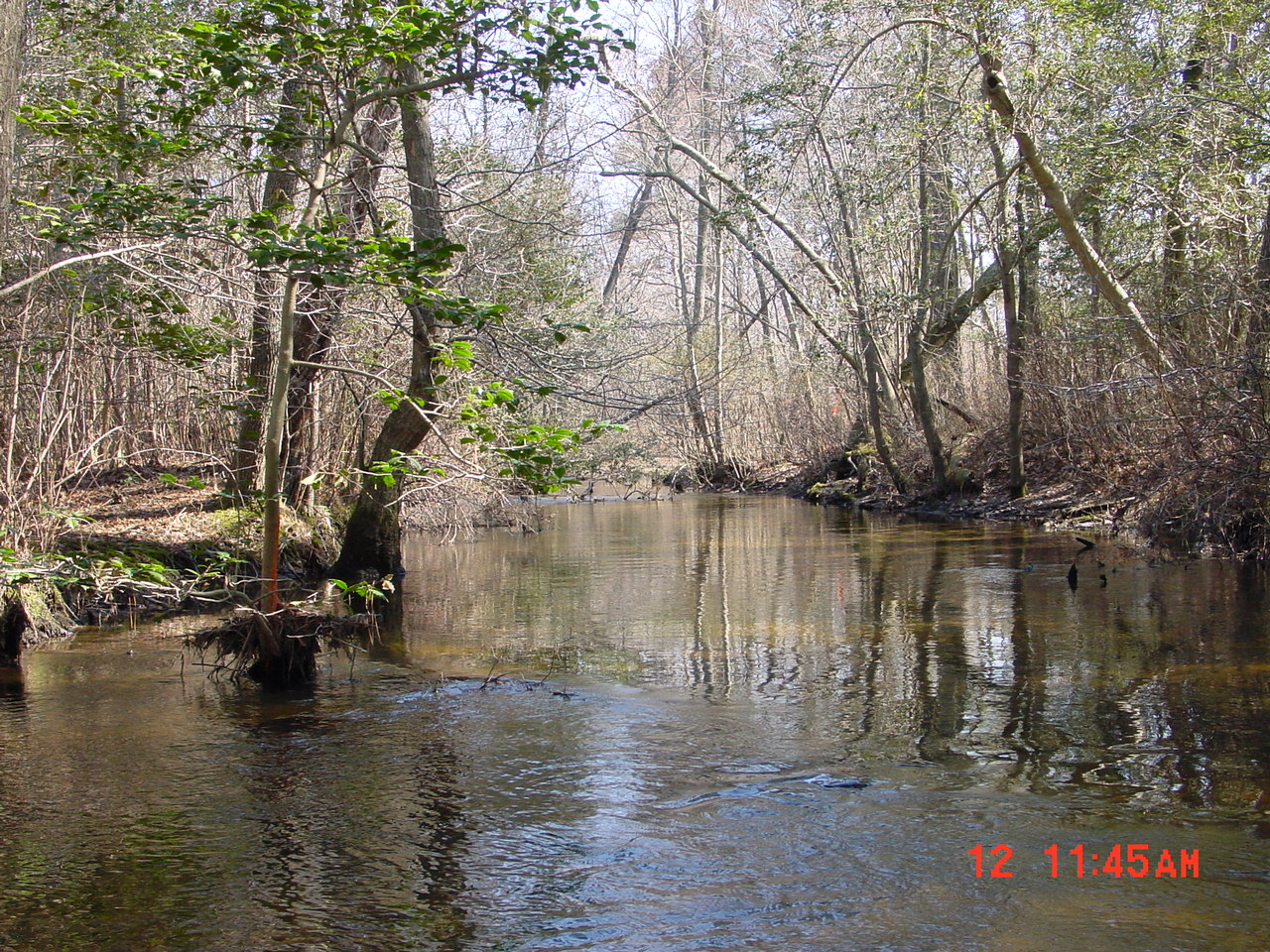 Field photo showing stream conditions at site NANT-311-R-2001-2